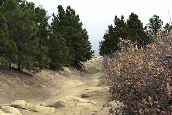 Ute Valley Park trail