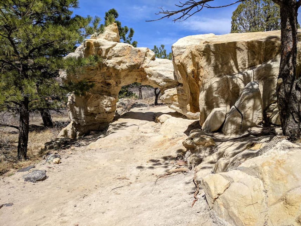 Embracing change cover image